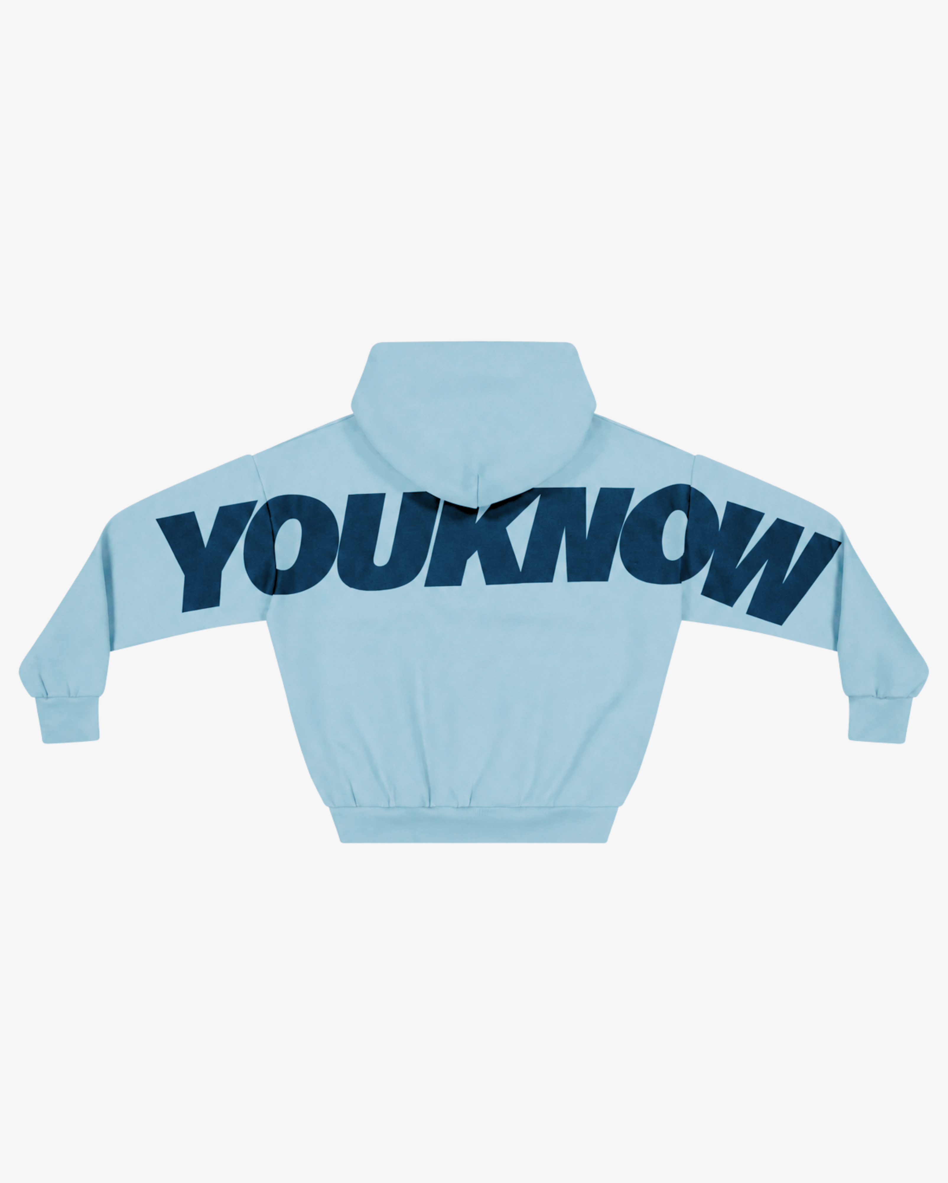 Big Back Hoodie | Light Blue