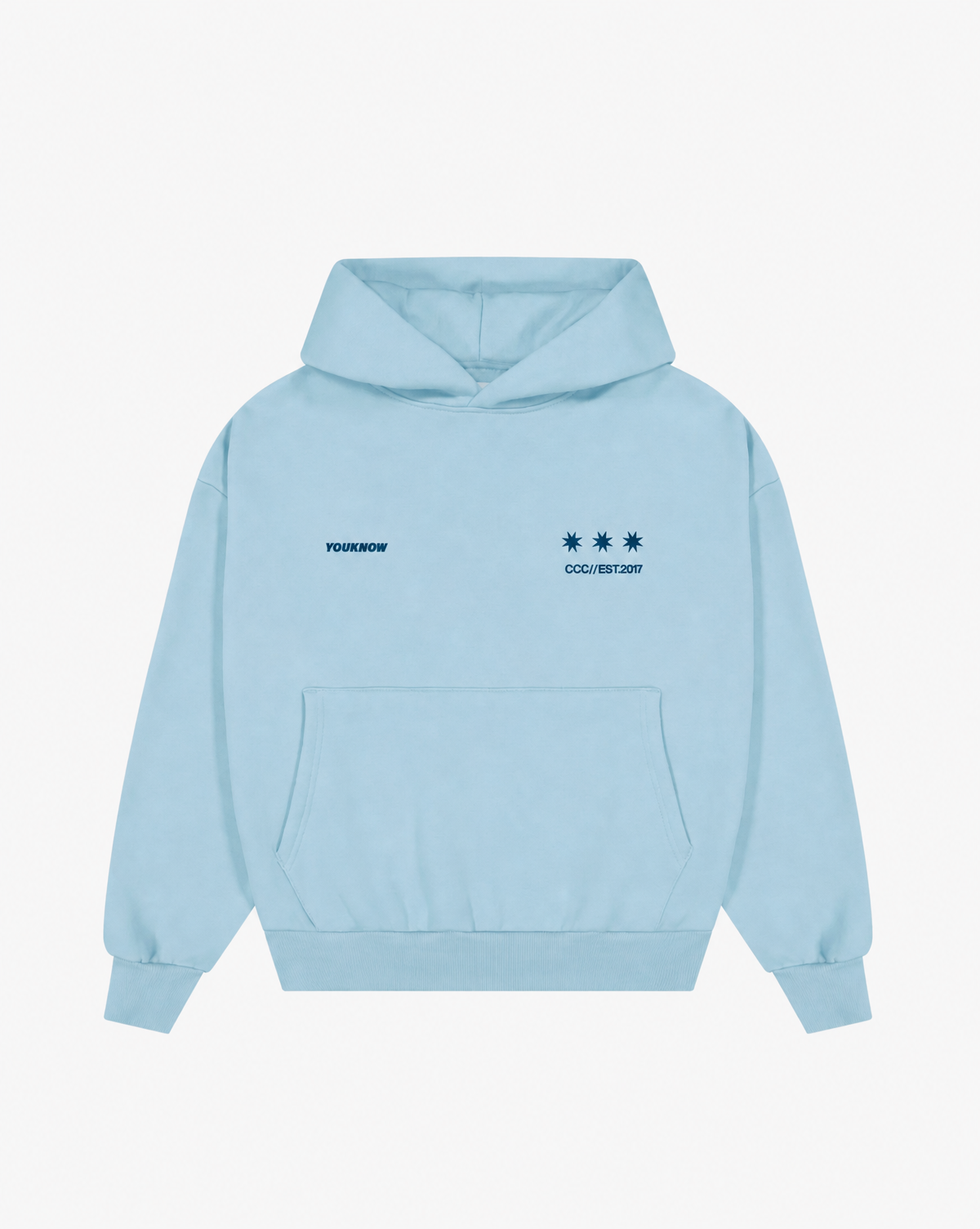 Big Back Hoodie | Light Blue